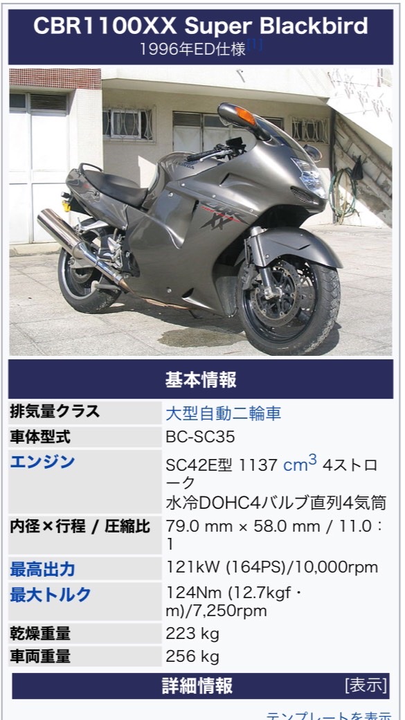 CBR1100XX super black bird