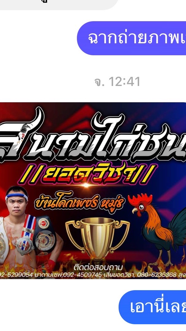 💥สนามชนไก่ยอดวิชา💥