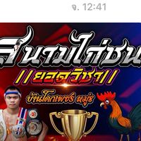 💥สนามชนไก่ยอดวิชา💥