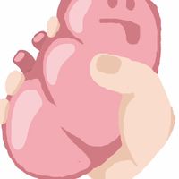 （客人）bar工計劃