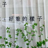 玉雲-采蓁-Sunny顧問-彰化