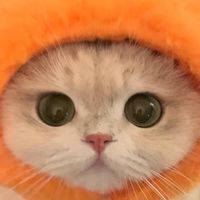 7K RaS