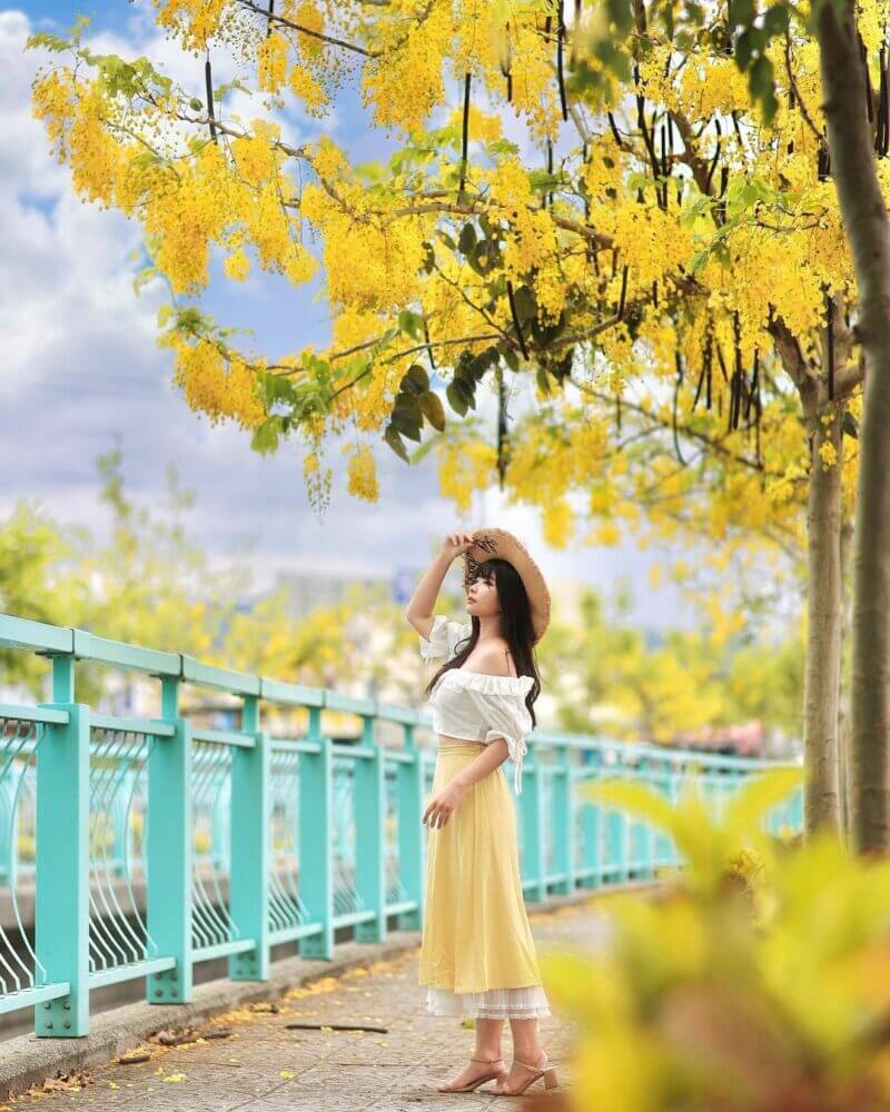 阿勃勒賞花｜南投景點｜福岡路