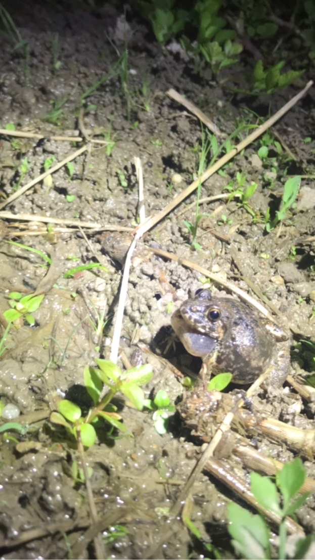 東海の生き物好き集まれ〜！！