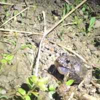 東海の生き物好き集まれ〜！！