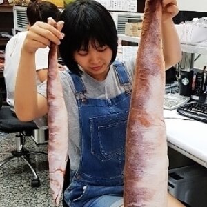 美麗大街【106080604】特長款 漫踪艦隊collection鹹魚抱枕動漫展毛絨玩具周邊(135公分)