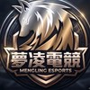 夢凌電競護航團