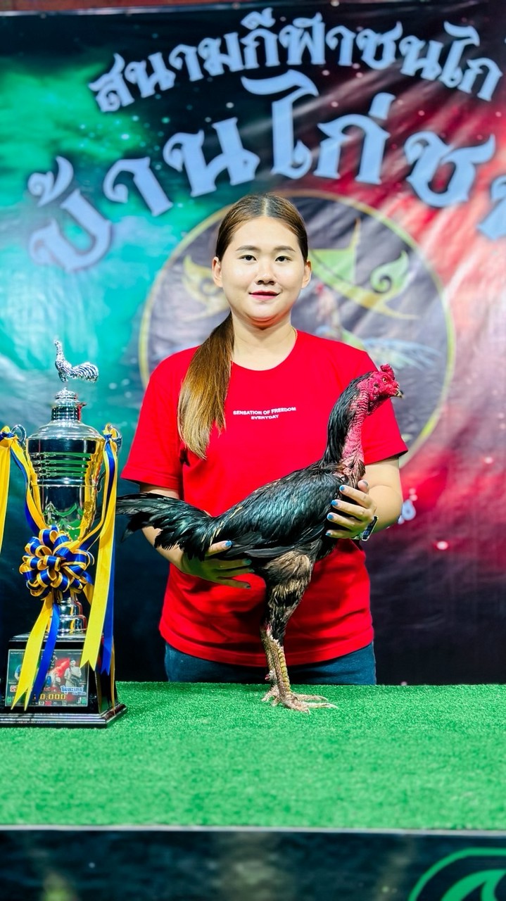 เจ้พอย พันธุกรรมตีหู หัก ชัก (สำรอง)