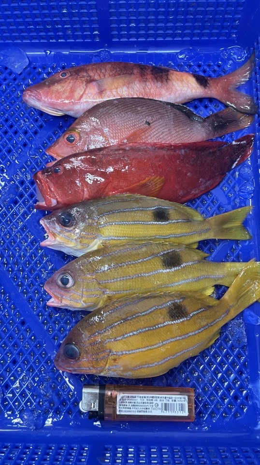 東岸長濱現撈水產