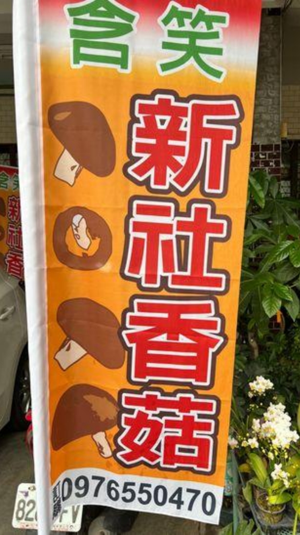 🍄新社香菇專賣店（含笑香菇）🍄