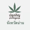 เครือข่าย กัญชา กัญชง จ.น่าน