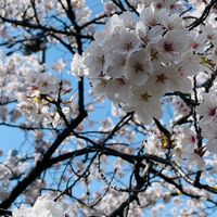 みなみ文化日本語教室ボランティア