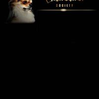 Chihuahua Society