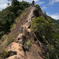 大桃園相揪來「爬山.騎車.運動」一起健康吧！