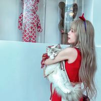 紜紜子の精緻養貓日常生活