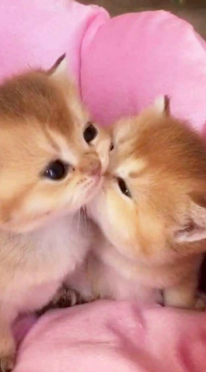 ส่งคลิปทำลายกล่องแอร์  TLK