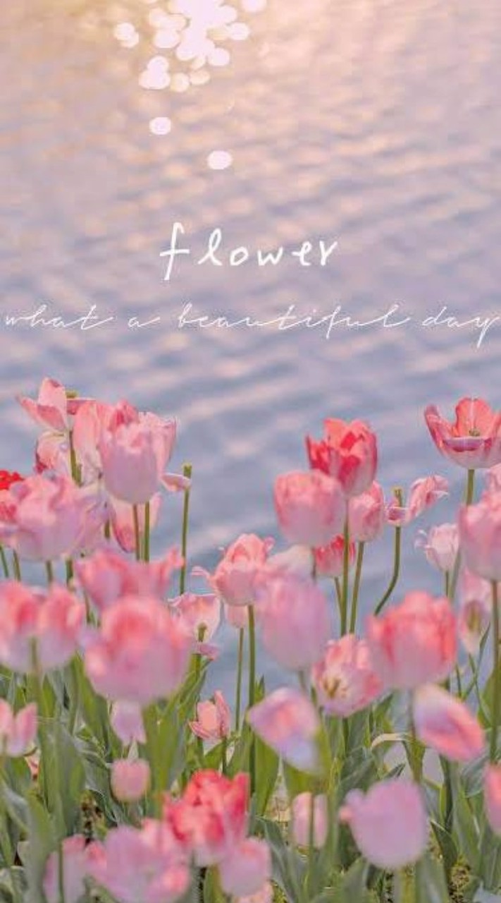 👻五星醫美鬼故事美胸經驗談👻