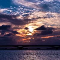 平和(カオス）なオプ
