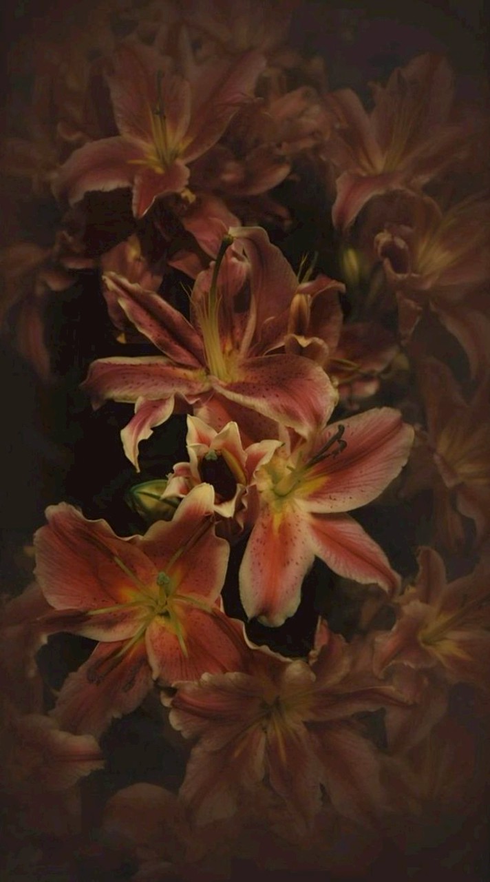 ทำงานจนปวดหัว