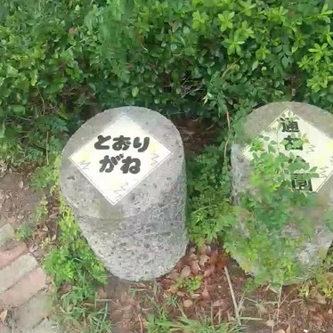 通曲公園のundefinedに実際訪問訪問したユーザーunknownさんが新しく投稿した新着口コミの写真