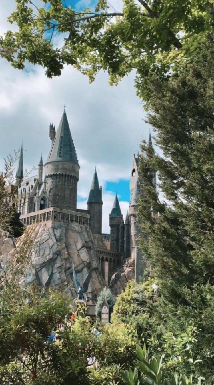 The Hogwarts School‘