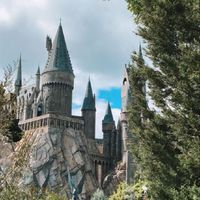 The Hogwarts School‘