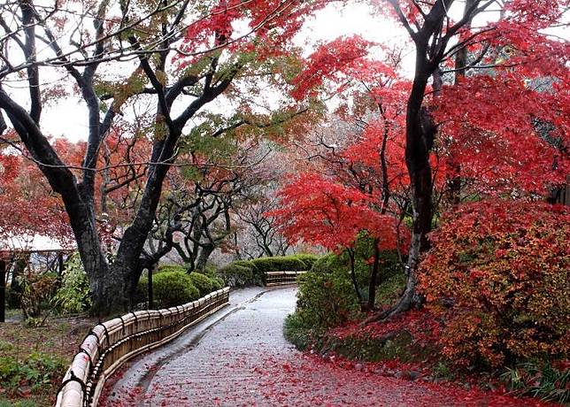 7個必看的東京近郊 紅葉美景 箱根空中纜車 日光神橋 高尾山等 Live Japan Line Today