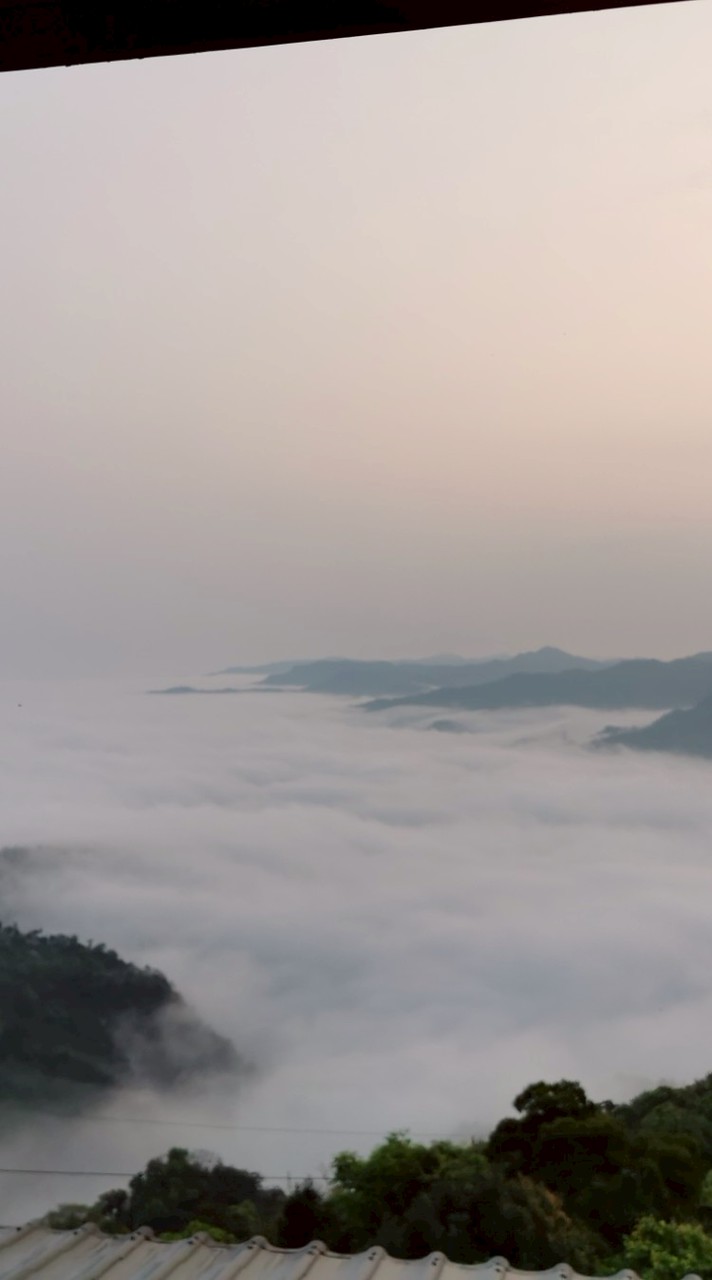 都營圓桌團隊