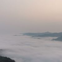 都營圓桌團隊