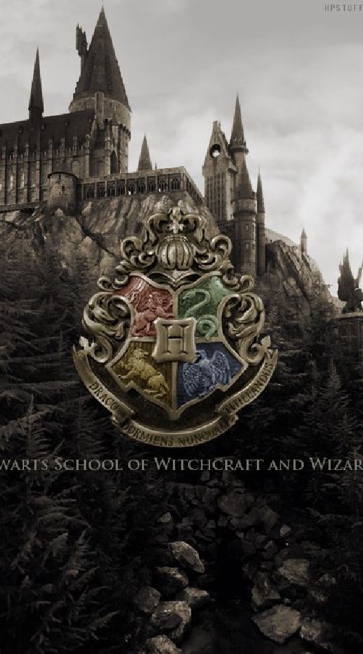 School Hogwarts🧙