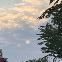 八校美宣聯合茶會