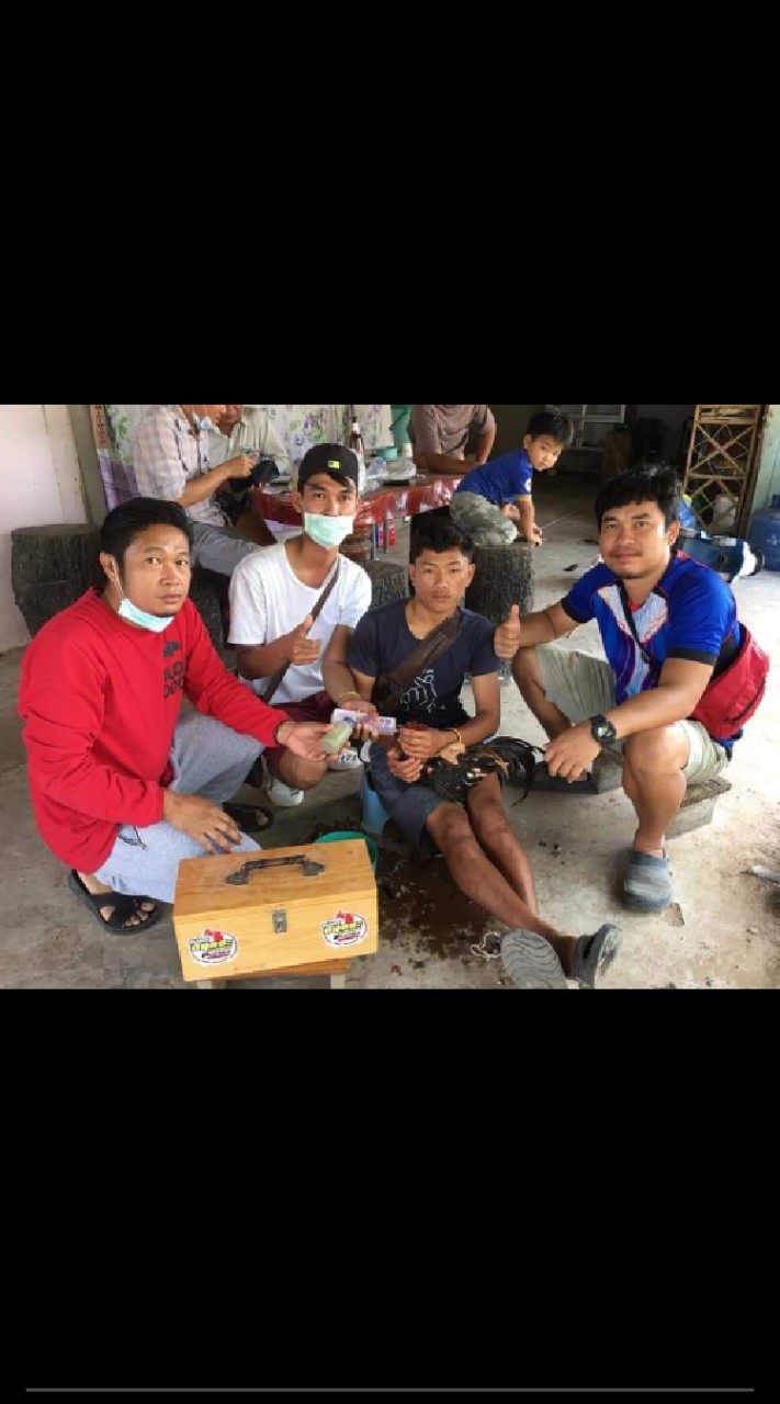 ซุ้มดอกลำดวน59สารคาม