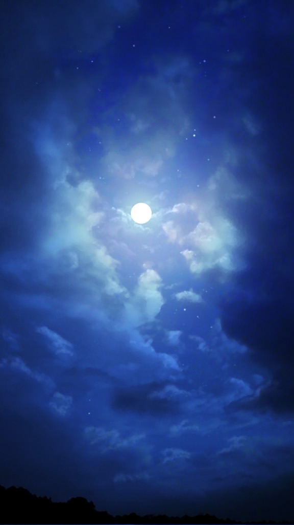 深夜オプちゃ