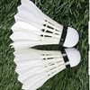 羽毛球高高手🏸