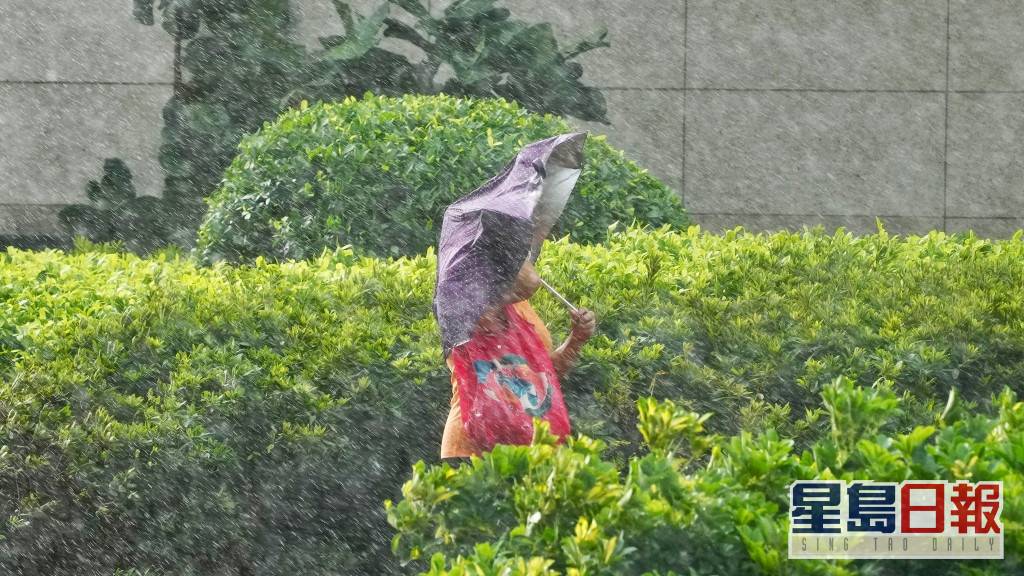 未來一兩日有狂風大驟雨及雷暴 下周初天色好轉 星島日報 Line Today