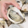 蚵季月 Kaki® 嘉義東石 帶殼牡蠣/現剝蚵肉 自產自銷 現流 產地直送 批發/零售 各類海鮮™