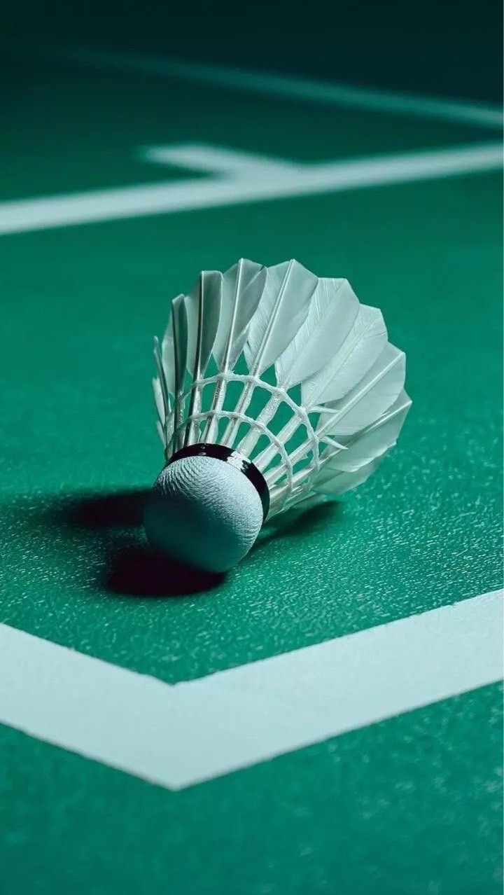 中壢羽球揪團🏸