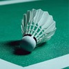 中壢羽球揪團🏸