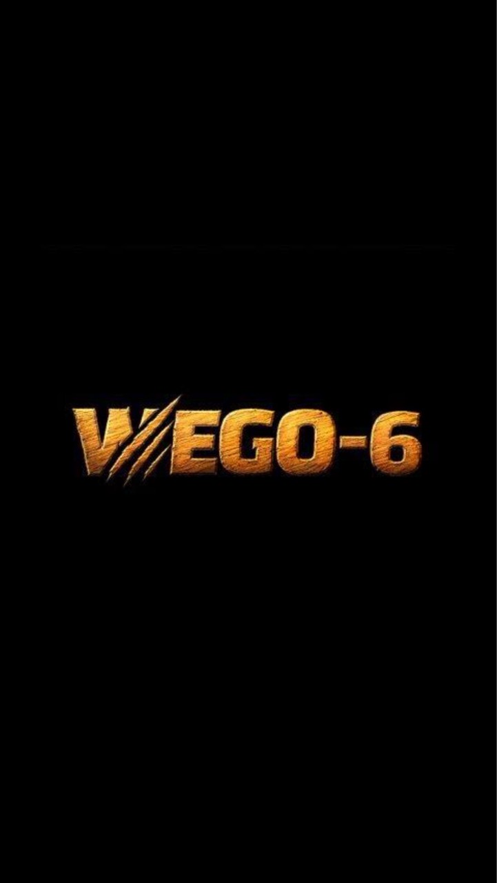 WEGO-6 閒聊群