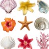 ⋆ ༅˚🌺 • 水寶的峇里島挖寶6/24～7/1連線 ⋆ ༅˚🌺 •