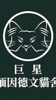 巨星貓舍・緬因日常星球 ✨