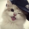 喵喵選物店🐱💗