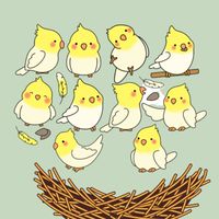 Birb Family