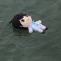 ไฮคิว