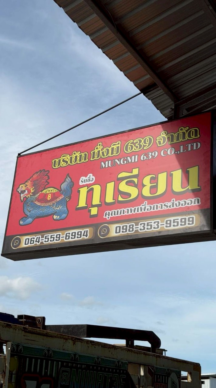 หลังสวน- ราคาทุเรียนล้งมั่งมี639