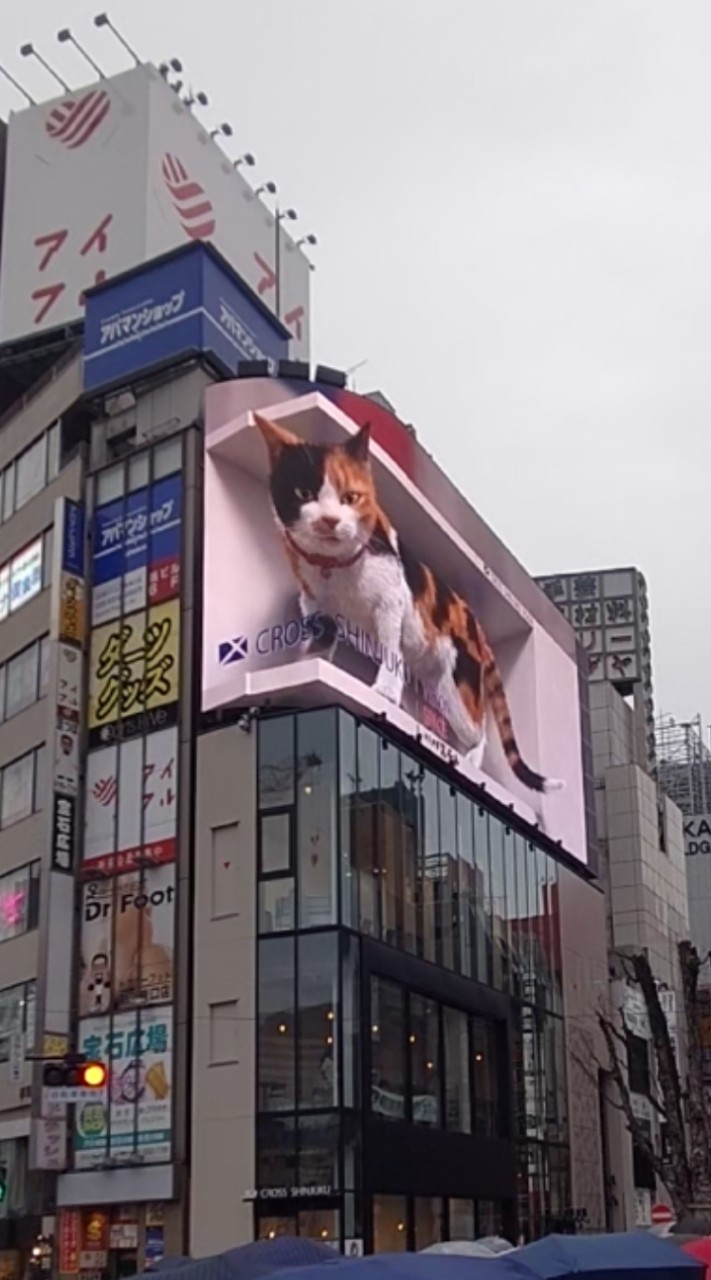 東京飯友会