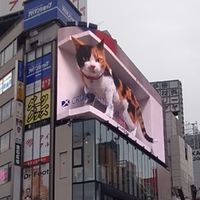 東京飯友会