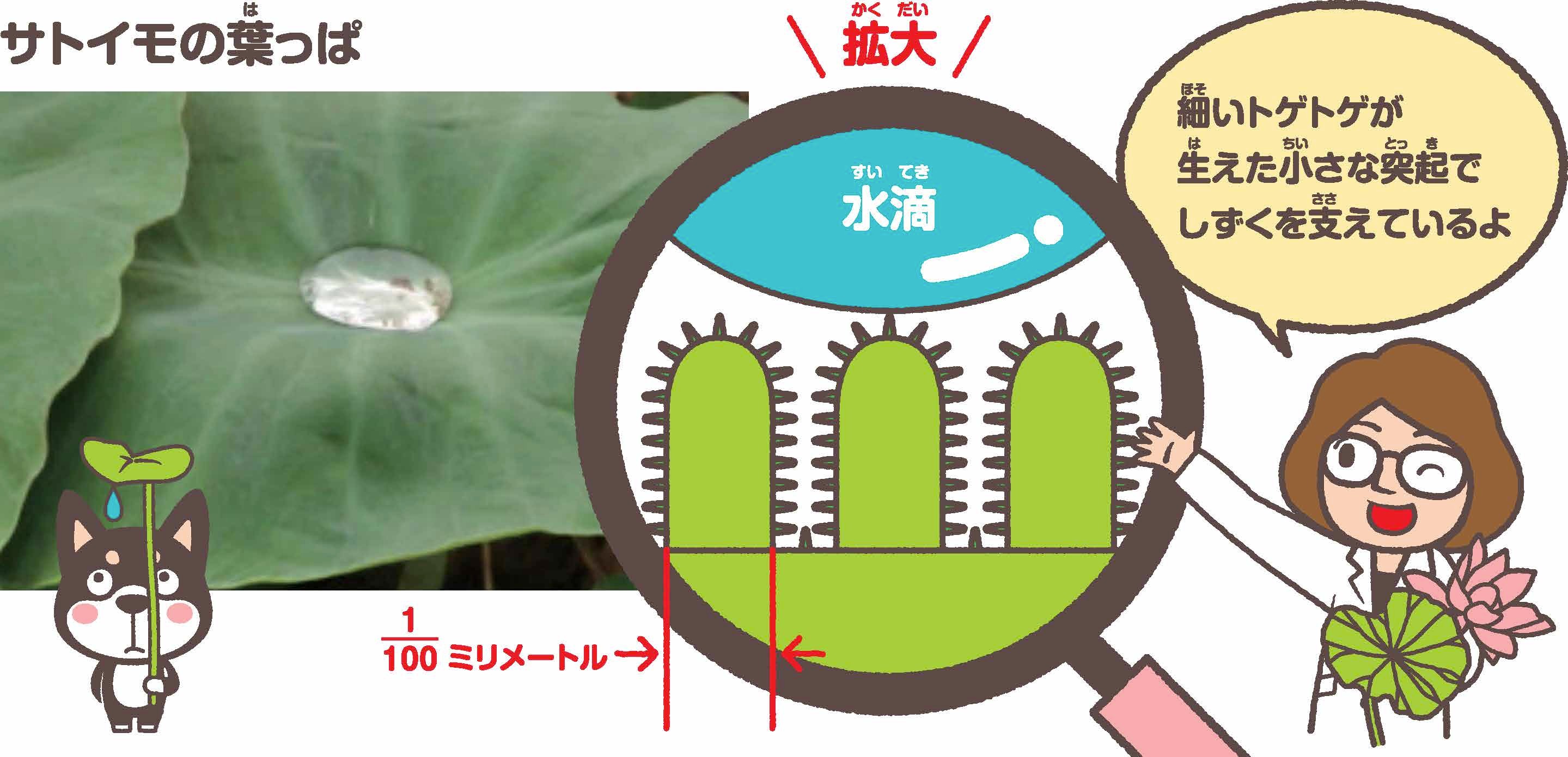 ヨーグルトのふたの秘密は 朝日学生新聞社