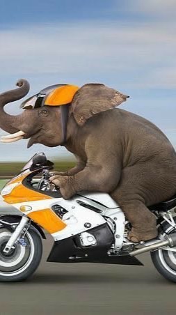 รับหิ้ว รับส่งคน รับส่งของ🚗