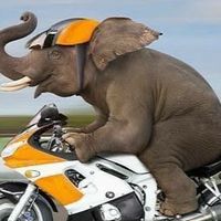 รับหิ้ว รับส่งคน รับส่งของ🚗
